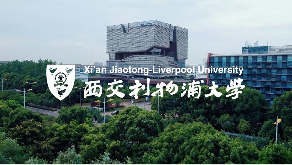备受关注的四所中外合作大学特色对比,上海纽约大学